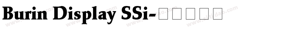Burin Display SSi字体转换